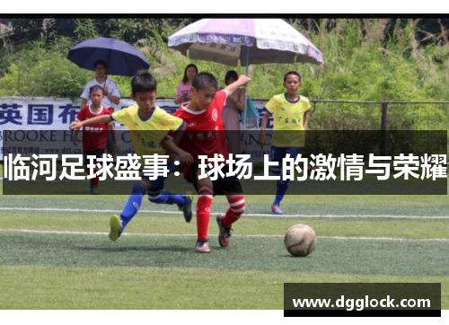 临河足球盛事：球场上的激情与荣耀